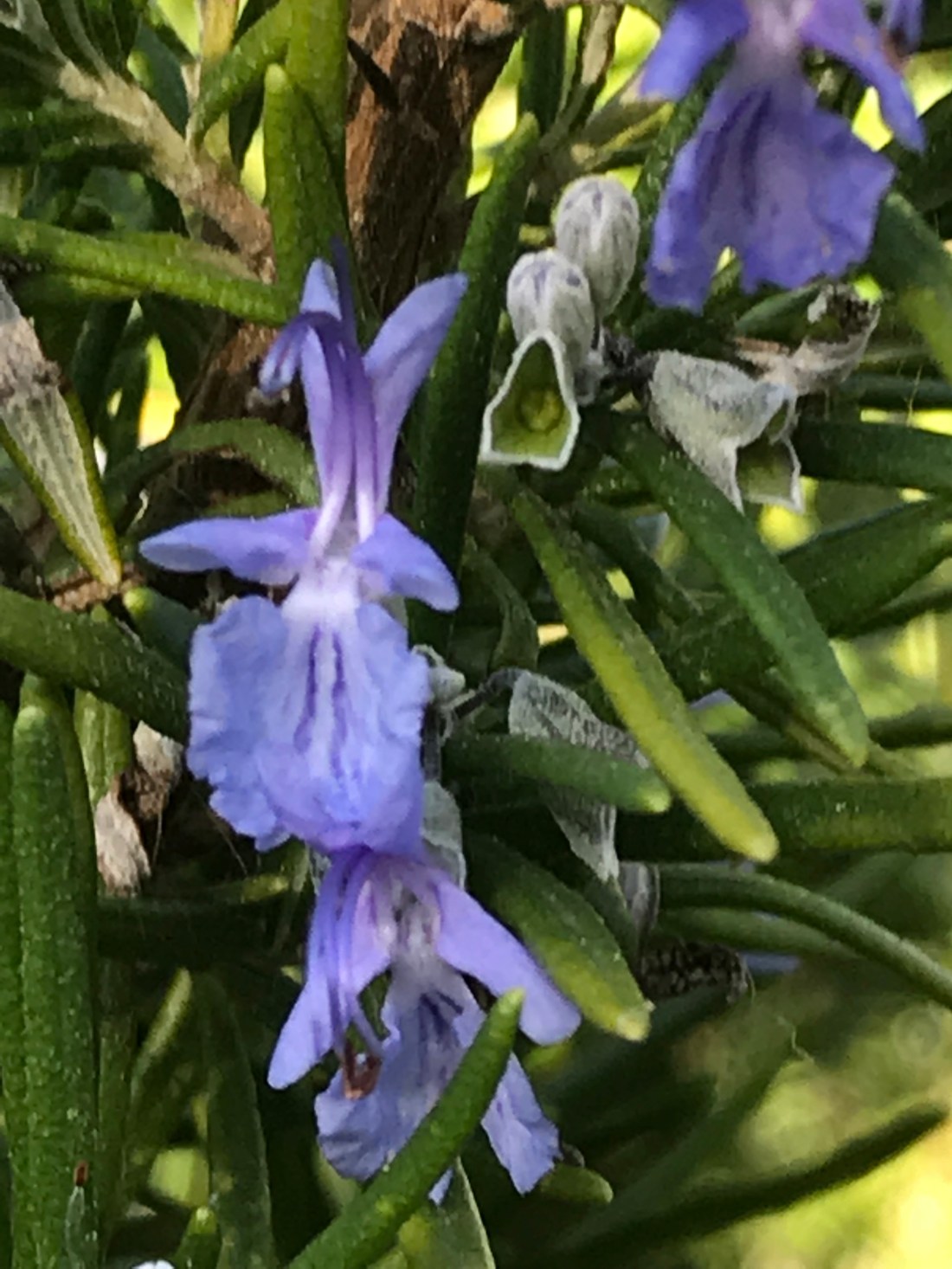 tHtrVArXSsuSyszo4woDyg