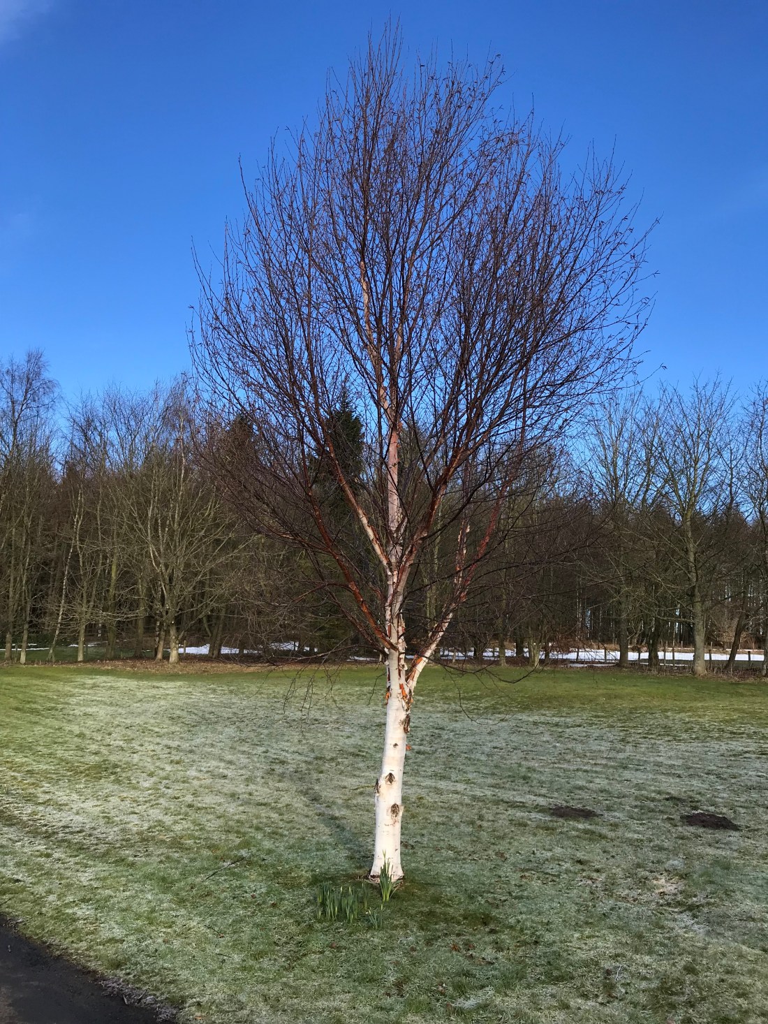 SB%nU2BsQ2egspPVLvBnxw